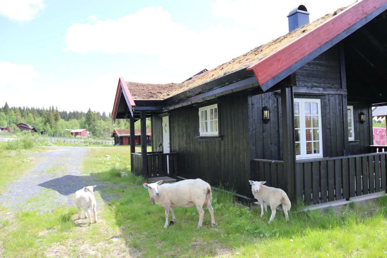 Gamlestolen Fjellstue Villa Etnedal Eksteriør billede